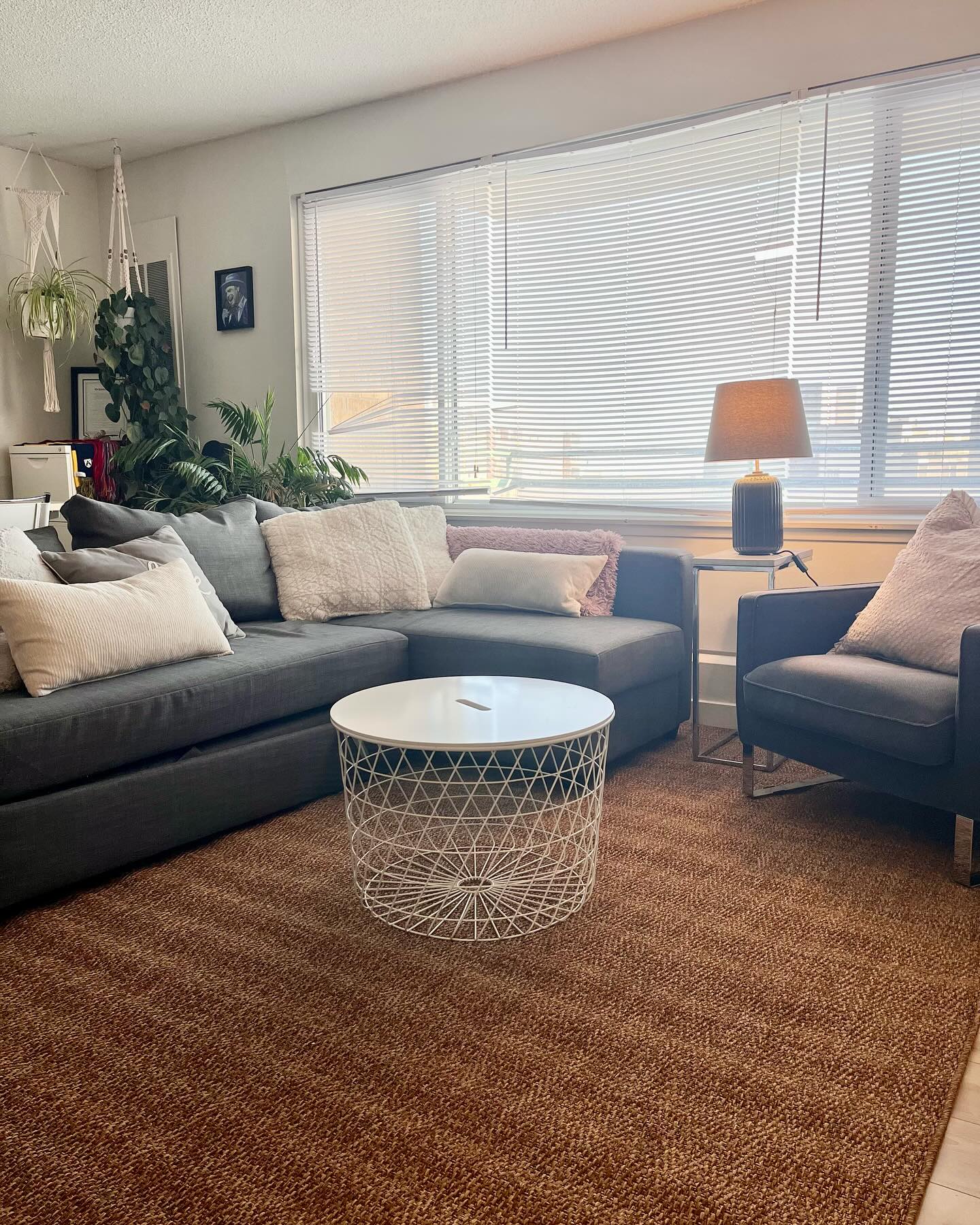 After view of the Winnipeg living room redesign with reworked furniture flow
